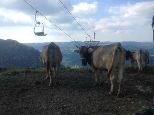 Ferienwohnung Ausblick