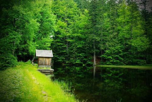 Apartamento Ferienwohnung Bayrischer Wald