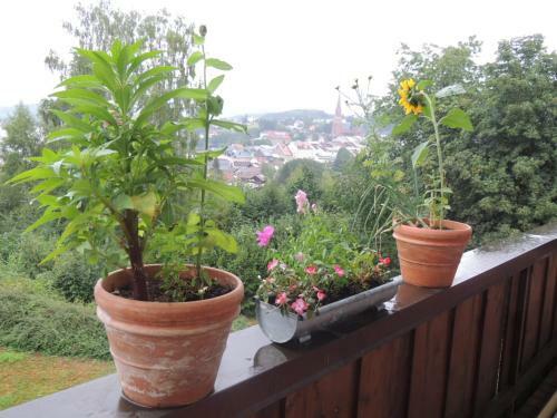 Apartamento Fw Zauberblick