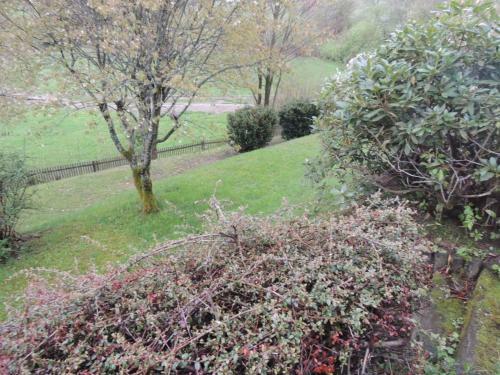 Apartamento Fw Zauberblick