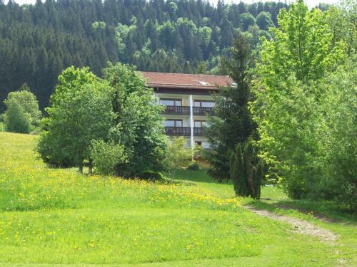 Apartamento Fewo Am Skihang / Bergwiese