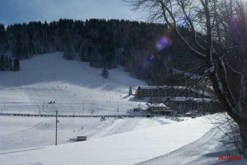 Apartamento Fewo Am Skihang / Bergwiese