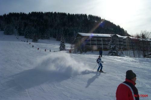 Apartamento Fewo Am Skihang / Bergwiese