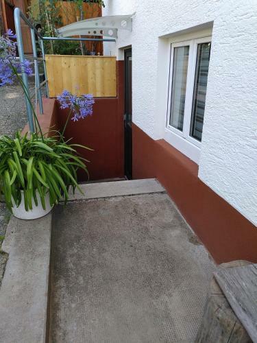 Apartamento Fewo Frank