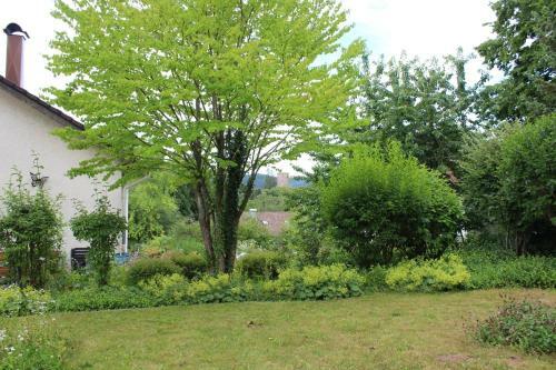Apartamento Haus Ersfeld