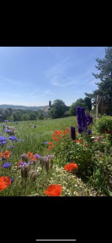 Apartamento Ferienwohnung Klosterblick