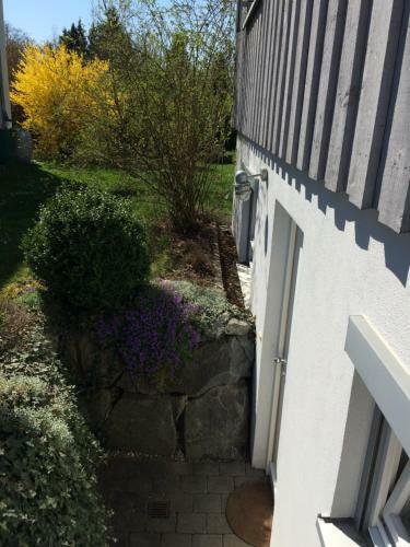 Apartment Rietheim