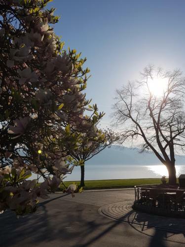 Apartamento Ferienhaus Bl�ml Am Bodensee