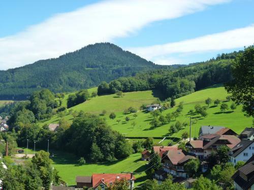 Apartamentos Ferienwohnung Schwarzwaldsteig