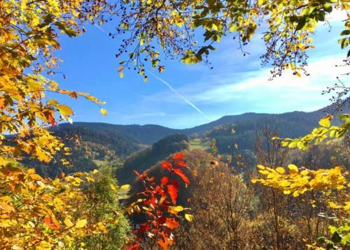 Hostal G�stehaus Haaser
