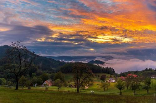 Hostal G�stehaus Haaser