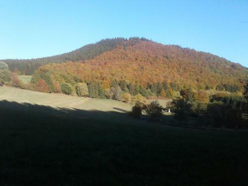 Hostal Pension Haus Zur Orke