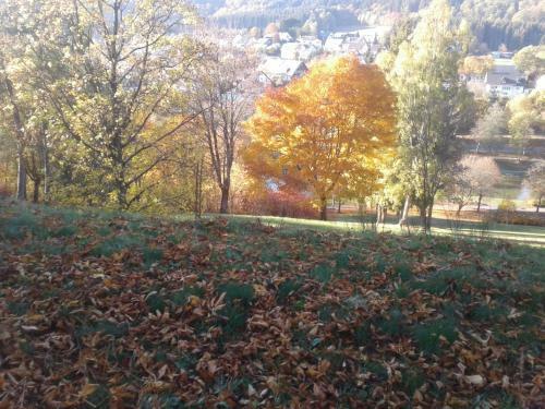 Hostal Pension Haus Zur Orke