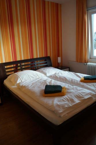 Hostal Hotel Pension De Gasterei