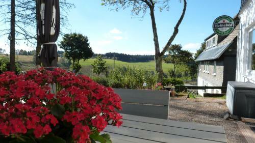 Hostal Hotel Pension De Gasterei