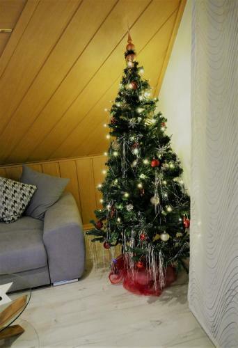 Apartamento Sonnenhaus Bara