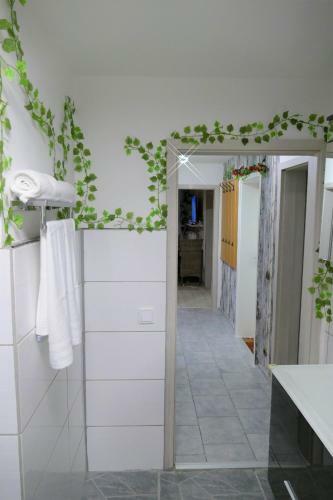 Apartamento Sonnenhaus Bara