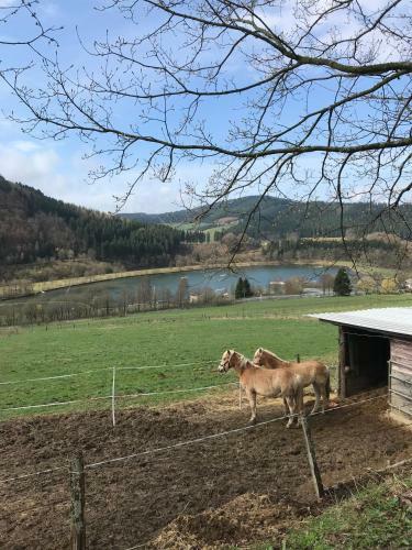 Apartamento Haus Sch�ne Aussicht - Winterberg/niedersfeld