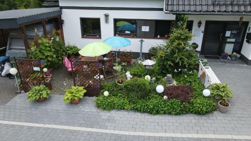 Apartamento Haus Stammecke
