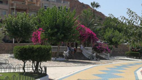 Apartamento Estudio La Colonia