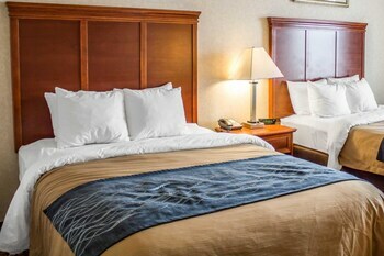 Hotel Comfort Inn & Suites Kent