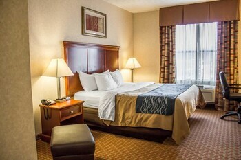 Hotel Comfort Inn & Suites Kent