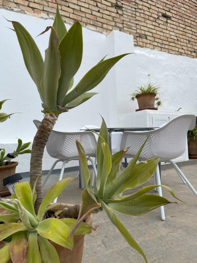 Carmela Apartment.