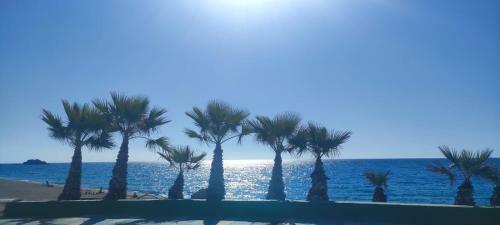 Apartamento Al-�ndalus Suite Tropical