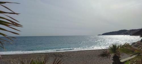 Apartamento Al-�ndalus Suite Tropical