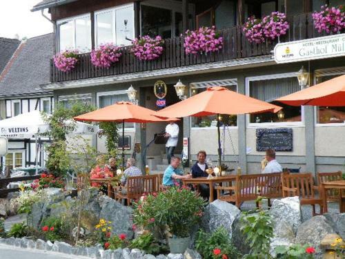 Hotel Gasthof M�ller