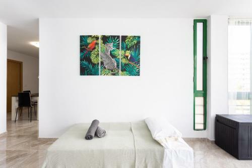 Apartamento Black Cat Surf House 1 C