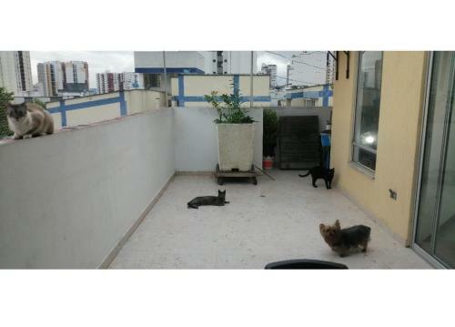 Habitaci�n Privada En Apartamento Con Terraza