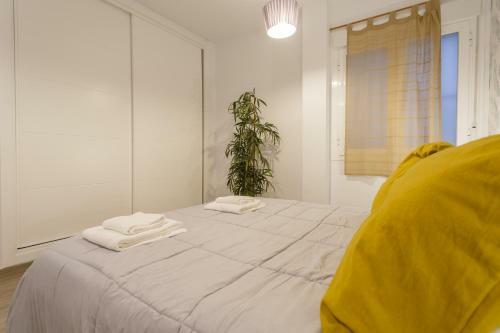 Catedral View Apartment By Cadiz4rentals
