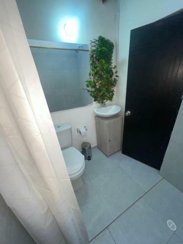 Apartamento Alojamiento Laureles Estadio Medellin