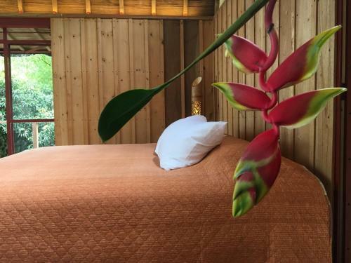 Villa Caba�a Quimbaya