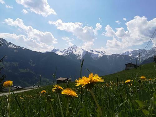 Apartamento Alpenchalet Zillertal