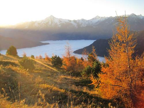 Apartamento Alpenchalet Zillertal