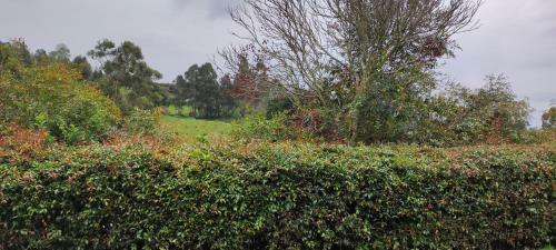 Casa Finca Descanso Dal�