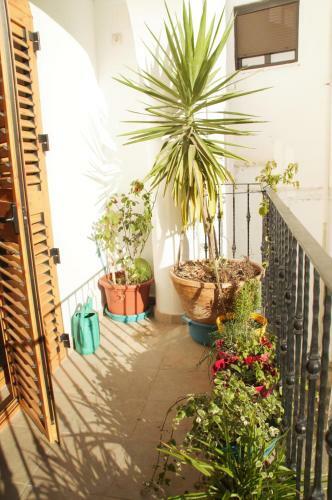 Casa Del Viajero