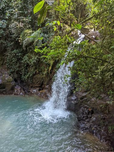 Caba�as Tipo Glamping En Cocorn�
