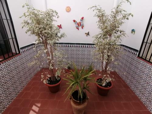 Apartamento Rural Boreal