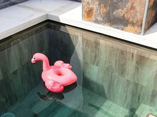 Apartamentos Con Piscina Privada
