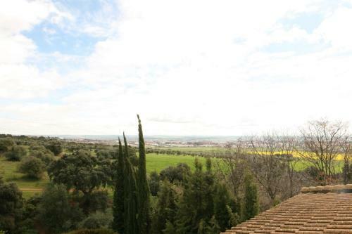 San Francisco Javier
