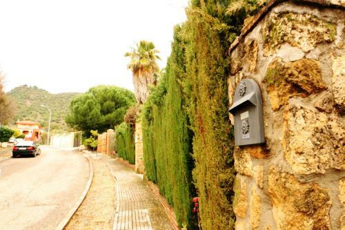 San Francisco Javier