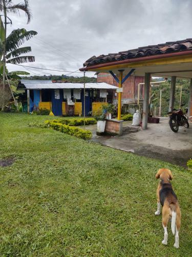 Alojamiento Completo, Zona Cafetera - Ulloa, Valle