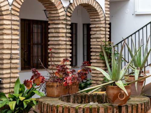 Apartamento La Casita Del Museo