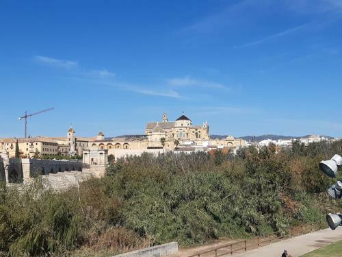 Apartamento Loft La Calahorra 1