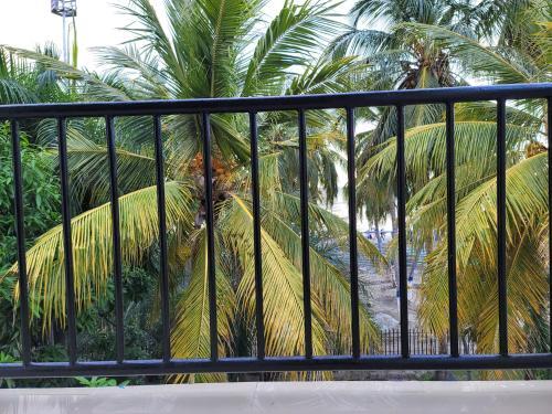 Apartamento Patuca C4