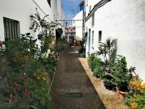 Apartamento Coraz�n De Conil