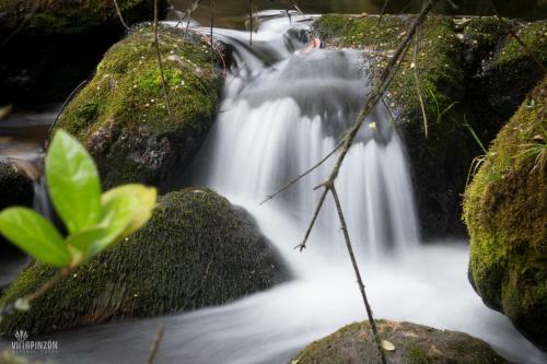 Glamping - Domo El Frailej�n Con Jacuzzi